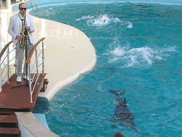 концерт Сергея Головни в дельфинарри